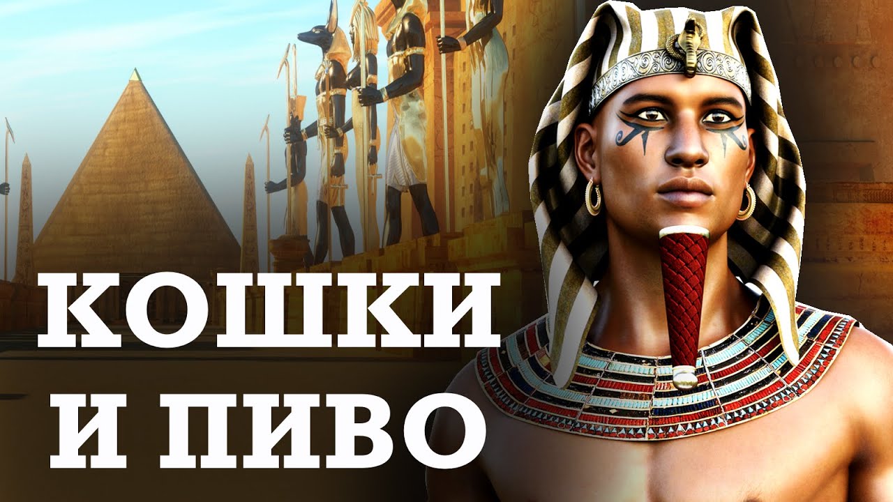 Повседневная жизнь в Древнем Египте Еда, медицина и косметика