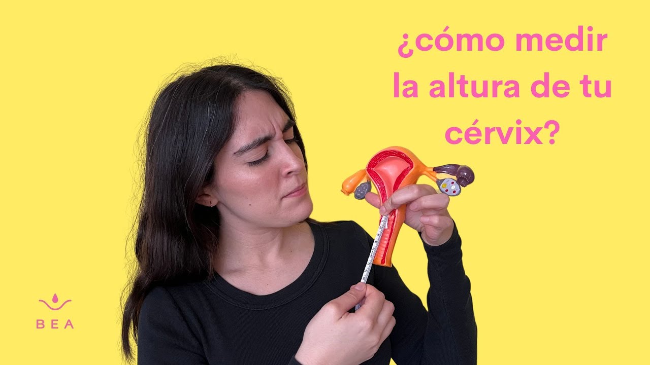 Video 1