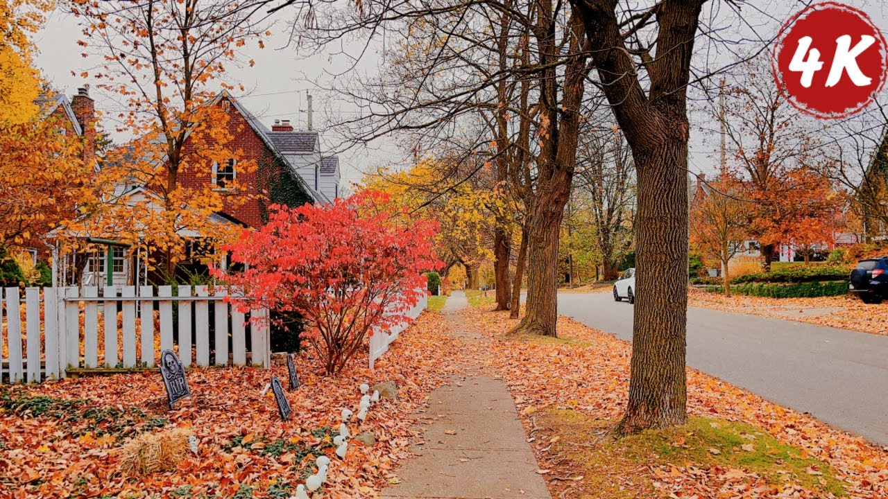 Peaceful Canadian Neighborhood Morning Walk | Beautiful Autumn Ambience | Sound for Sleep and Study
