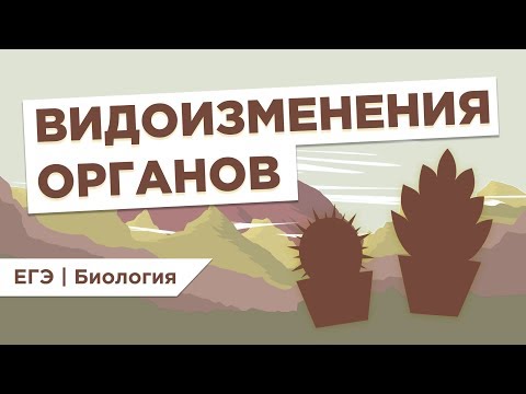 ВИДОИЗМЕНЕНИЯ ОРГАНОВ I ЕГЭ Биология | Даниил Дарвин | Вебиум