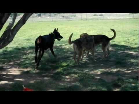 Baba playing ball... 