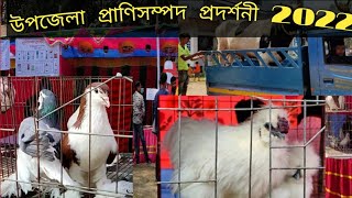 লোহাগড়া উপজেলা প্রাণিসম্পদ প্রদর্শনী ২০২২