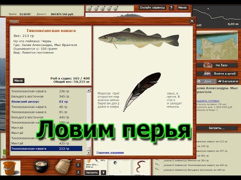 Русская Рыбалка 3.99 (Russian Fishing) Ловим перья на Заливе Александры