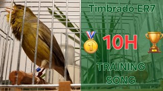 Download lagu Champion 🏆🥇 - Canary Training Song - 10 h - Timbrado Español Clásico Original 17_12 - Full Video mp3