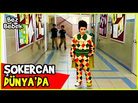 ŞOKERCAN, OKULA GELDİ! - Bez Bebek Özel Sahneler