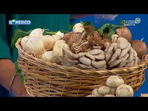Il Mio Medico, 5 ottobre 2021 - Le proprietà benefiche dei funghi