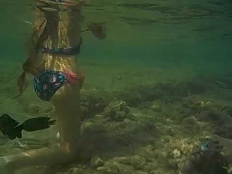 Красное море, Шарм-эль-Шейх 2023