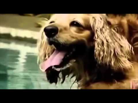 O Mundo sem Ninguém