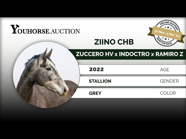 Ziino CHB
