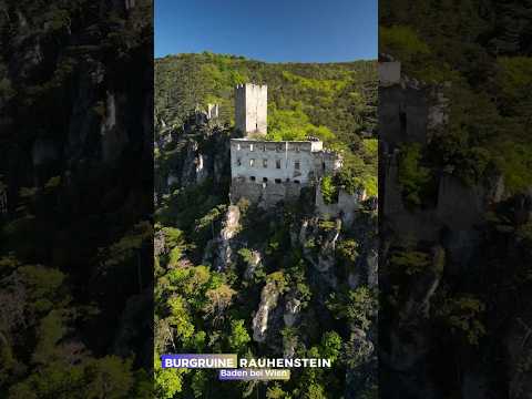 Burgruine Rauhenstein 🏰 | Drohnenaufnahmen aus Baden bei Wien | Niederösterreich