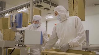 Cómo construye este país un centro regional de procesamiento de alimentos