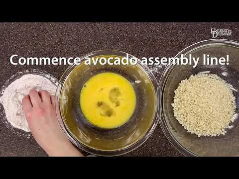 Crispy Baked Avocado Fries