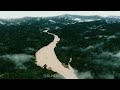 Amazon Rain Forest Whatsapp Status Shorts Alightmotion Whatsappstatus Moodyedit Moodyedits