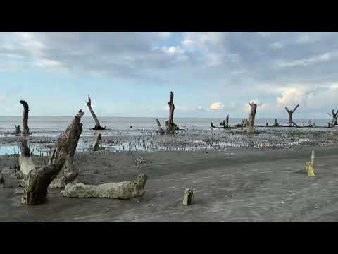 #Kuakata sea beach #BeautifulBangladesh