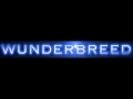 WUNDERBREED - Black Veil Brides Knives and ...