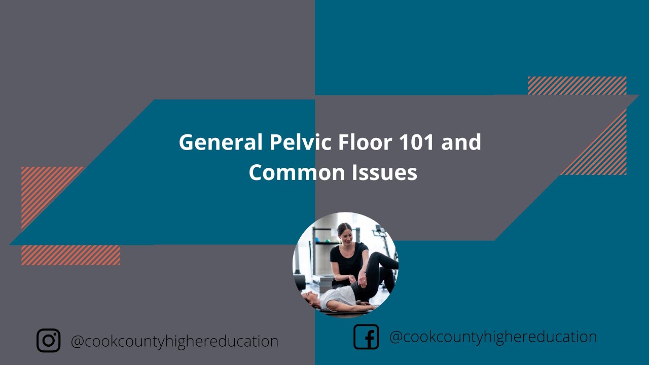 General Pelvic Floor 101 and Common Issues