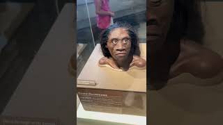 Download lagu National Museum of Natural History Washington ton DC#usa #washingtondc #naturalhistorymuseum #travel mp3 Download lagu National Museum of Natural History Washington ton DC#usa #washingtondc #naturalhistorymuseum #travel mp3