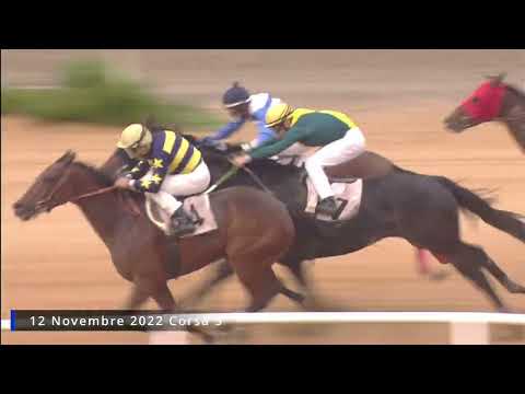 Galoppo corse 12 Novembre 2022