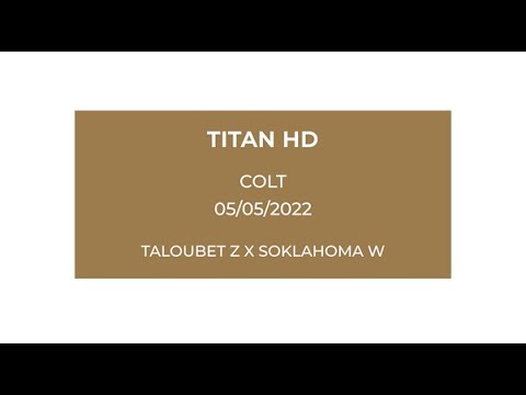 Elite Foal Auction 2022 | Lot 21 | Titan HD