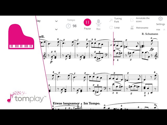 ◇R.schumann シューマン　ピアノ楽譜　おまとめ　２９２冊セット ◇R.schumann シューマン ピアノ楽譜 おまとめ 292冊セット ◇R