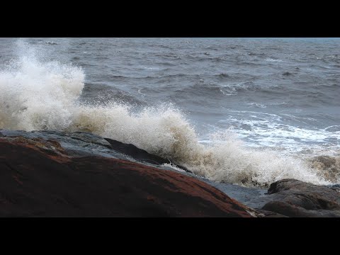 Mermaids Are Waiting (Video Poem/ India/ 2026/ Dark Chocolate Films)