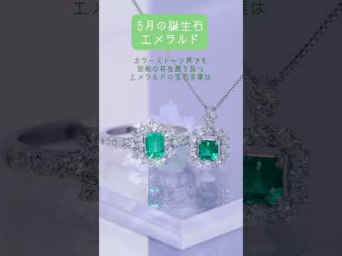 パラディサイア・アポダ