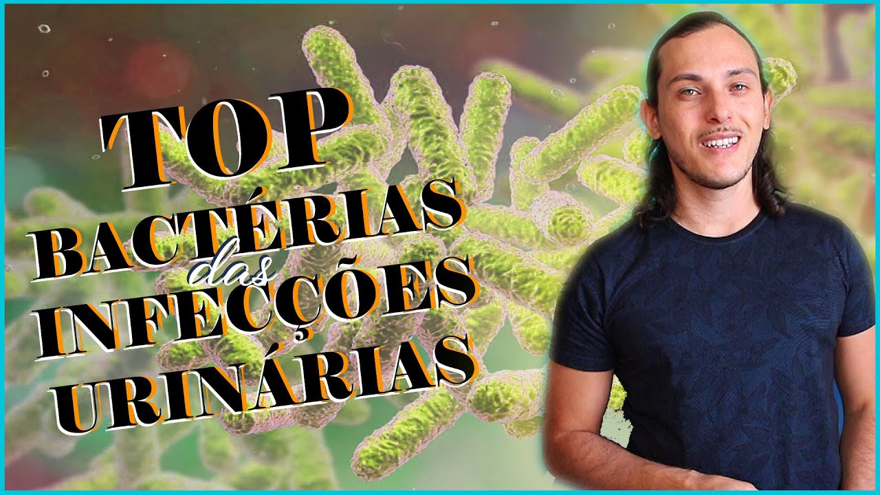MICROBIOLOGIA: TOP bactérias que causam INFECÇÃO URINÁRIA.