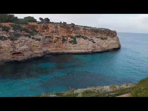 Videos del Aluasun Cala Antena 3★ en Calas de Mallorca, EspañaVer MásVerPrecios14CerrarConsulta por Whatsapp 🇦🇷BookingTripadvisorExpediaAgodaPricelineTripSkyscannerDespegarKayakHotelesDestiniaTrivagoLastminuteTui