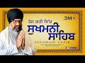 ਤੇਜ ਗਤੀ ਸੁਖਮਨੀ ਸਾਹਿਬ सुखमनी साहिब Sukhmani S