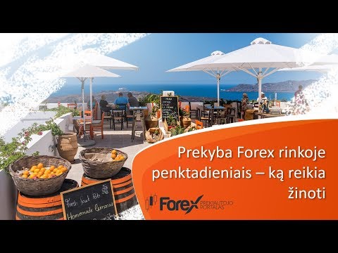 Forex premijos be grynųjų pinigų
