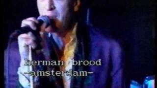 Herman Brood Answer