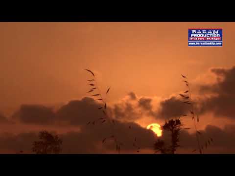 Ehmede Xerib u Miran Xemgin haware 2011