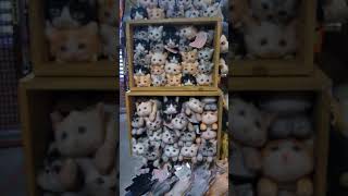 本日のリアルな猫たち!カールおじさんもびっくり
