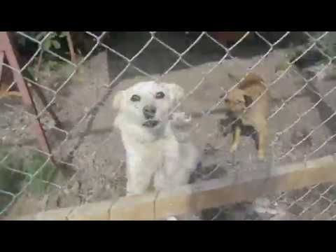 Magic Land - Tour (2016)