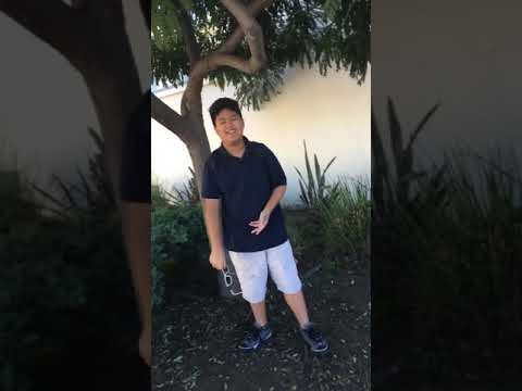 Chinese lul bay apology video