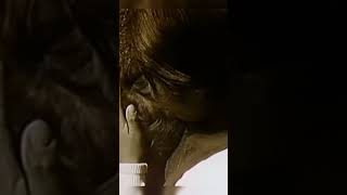 Tanita Tikaram 1988, Dreadful Shadows 1999 Twist in My Sobriety #short