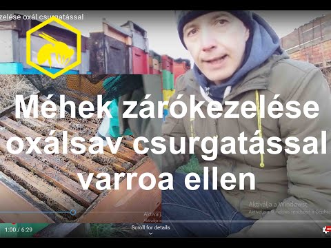 chilidonia visszérből lábfürdő visszér