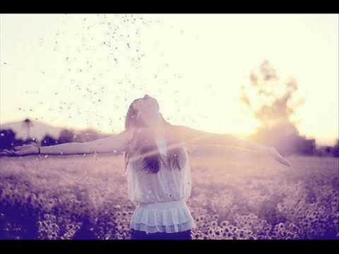 Sejfidin - Cujem vo sello se zbori