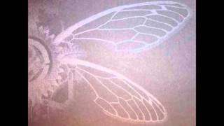 Irisblind-The Beating of a Billion Locust Wings