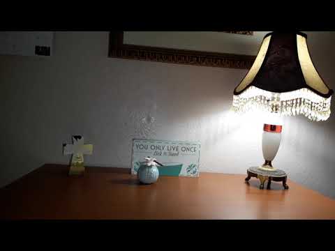 Marley's New Hideaway