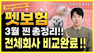펫보험 추천 강아지보험 고양이까지 장단점 문제점 같이 비교해서 최저가로 가입하기(적금,슬개골,후기)