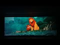 Circle Of Life An Environmental Fable At Epcot Disney World W Lion King Characters