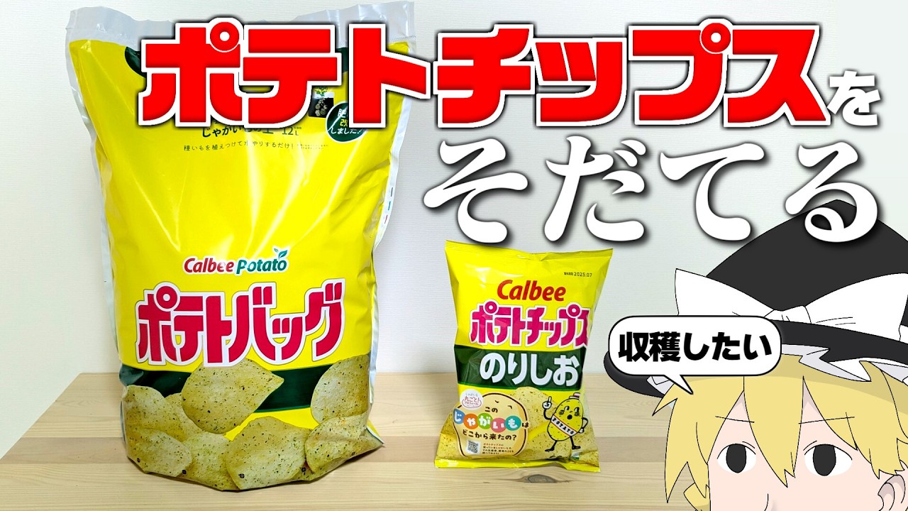 ポテトチップスを手作りしたら１年かかった件【ゆっくり】【サイエンスクッキング #17】