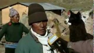 preview picture of video 'HUANCAVELICA FRIAJE LLILLINTA  2007'