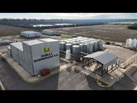 Doble L Bioenergías concretó su primera exportación de oleínas: "Es un hito"