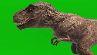 T-Rex Roar - Dinosaurs Green Screen 50+ Short For 