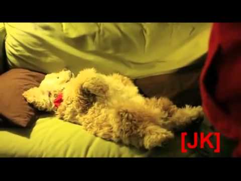 Bardzo leniwy pies (A very lazy dog)