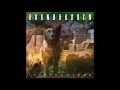 Soundgarden - Hands all Over