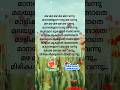 Mazha Kavitha മഴ കവിത Rain Songs Malayalam Mazhakavitha Mazhapattu