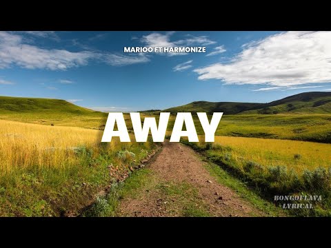 Marioo ft Harmonize - AWAY lyrics video